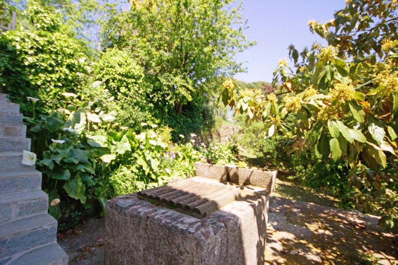 Apartament Fattorialmare Blu Camogli Zewnętrze zdjęcie